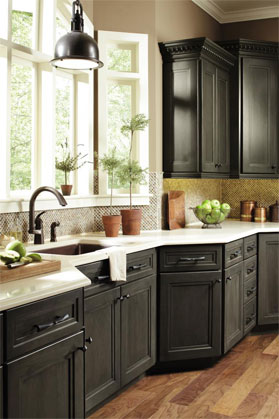 Dark Brown Omega Cabinetry Designed for and Installed in Chicago Home Kitchen